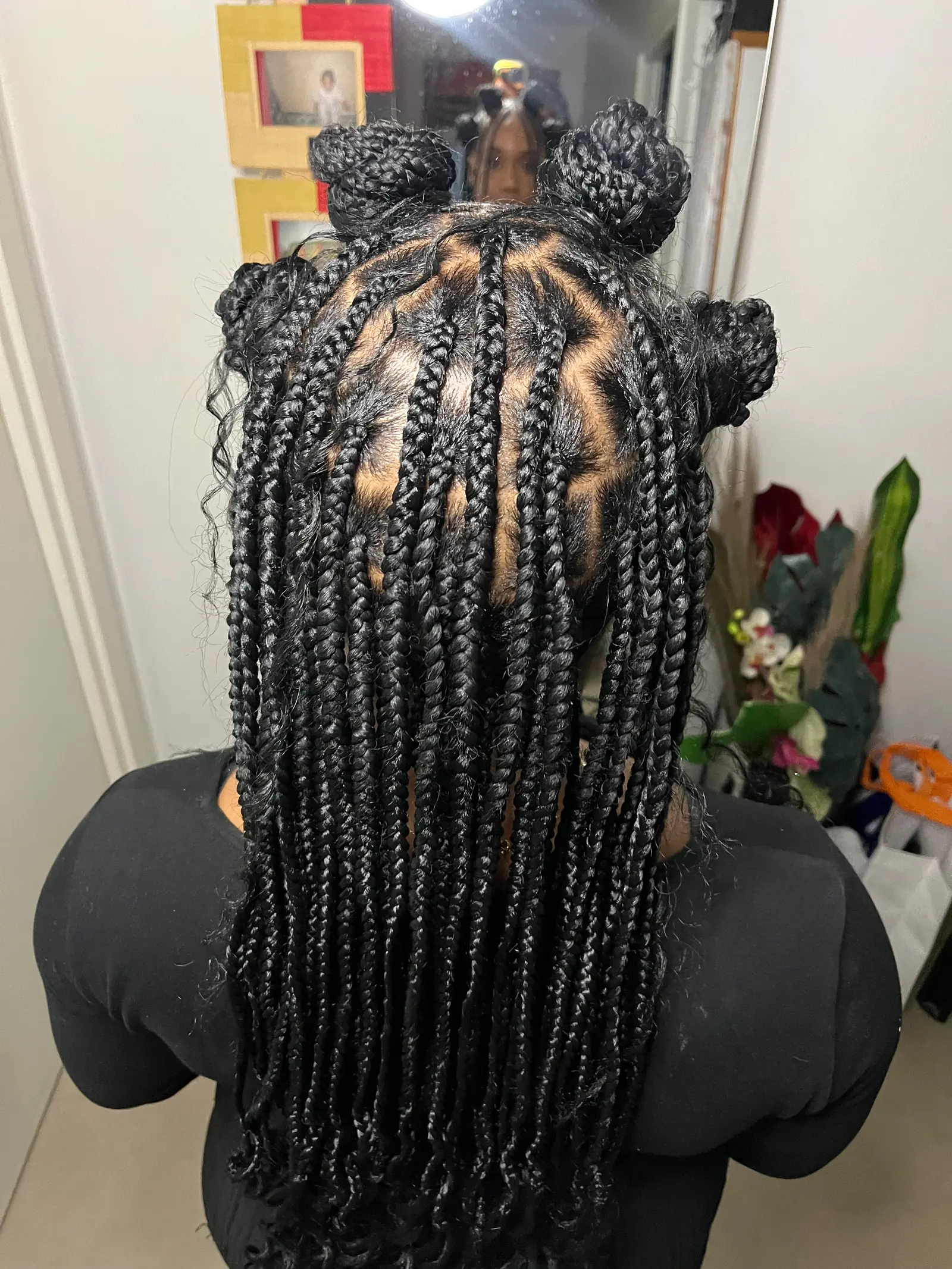 Fulani Braids/Twist - visuel 1